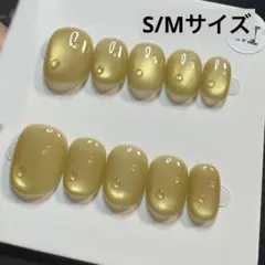 【セツ】マグネット　ネイルチップ　付け爪(A1451)