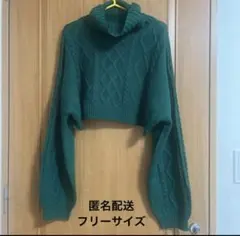 ケーブル編みグリーンクロップドニット フリーサイズ