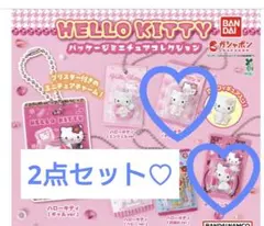 ハローキティ　パッケージミニチュアコレクション　2個セット♡