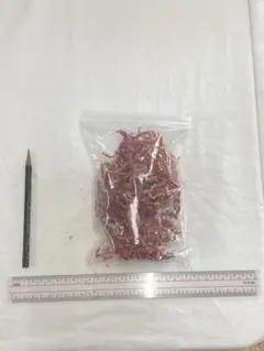 血赤珊瑚の原木