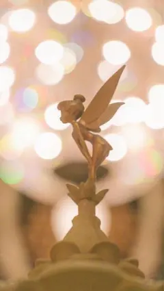 h6219h様専用です。