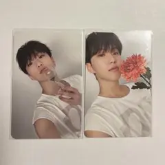 SEVENTEEN_ホシ