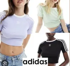 【美品】アディダス 半袖ベビーTシャツ クロップドTシャツ adidasM