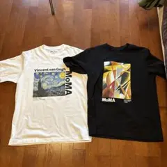 Item thumbnail for item 8ae9fb2b-d88c-4e36-8ce3-e7798d74b284