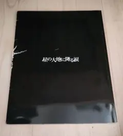 星の大地に降る涙 パンフレット クリアファイル 地球ゴージャス 三浦春馬 星の大地に降る涙 パンフレット クリアファイル 地球ゴージャス