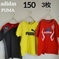 adidas PUMA スポーツTシャツ 半袖 ドライ 綿 男の子 150