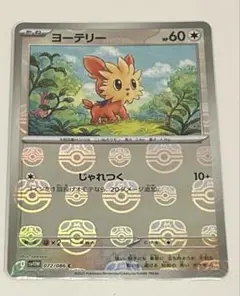 ヨーテリー　マスターボールミラー