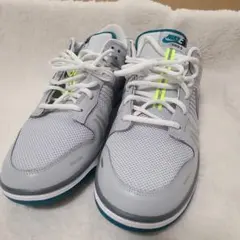 ダンク LOW SE グレー　29.0cm