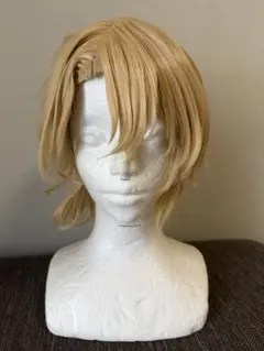 忍たま乱太郎 忍たま 斉藤タカ丸 コスプレ ウィッグ - メルカリ