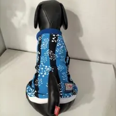 Item thumbnail for item aec48d3e-758b-4e2c-9780-0168a4bf3ed0