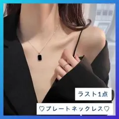 【ラスト1点】ネックレス　シルバー　ブラック　男女兼用　チェーン　シンプル　新品