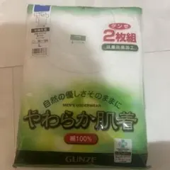 S*E様 GUNZE メンズ Tシャツ Lサイズ 2枚組