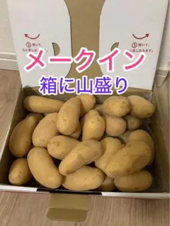 メークイン じゃがいも 箱詰め 大容量のサムネイル