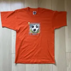 90s USA製 フルーツオブザルーム サッカー アート Tシャツ オレンジ