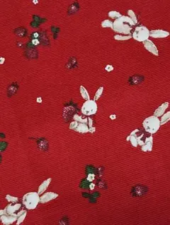 ✨店舗完売✨＊＊＊coniglio＊＊＊コーデュロイ・生地幅×５０cm