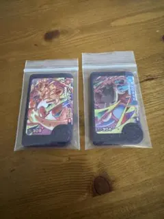 ポケモンフレンダ　2枚セット