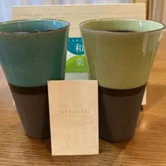 たち吉　ベアタンブラー　新品未使用