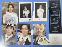 【ムギ34 様専用】ディノ