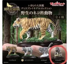 Item thumbnail for item 66ea35e9-8ebf-4f6b-8fa2-5049cf67be03