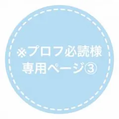 【※プロフ必読様専用ページ③】