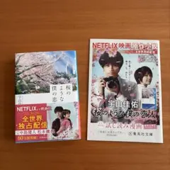 桜のような僕の恋人 試し読み漫画付　宇山佳佑 集英社文庫