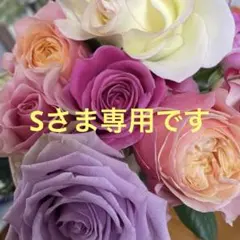 さぼてん様 リクエスト 2点 まとめ商品