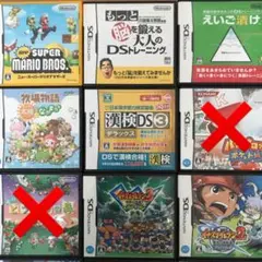 ニンテンドーDSソフト(ケース付き)