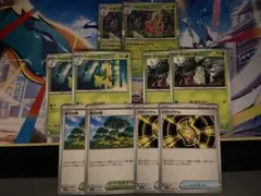 メガニウム　ベイリーフ　チコリータ　活力の森　メガシグナル　まとめ売り