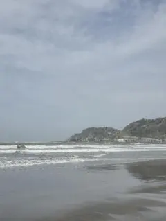| ε¦)☆様専用