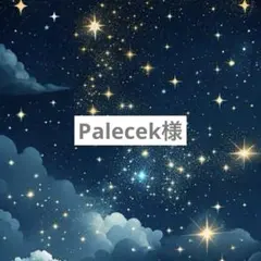 Palecek様専用ページ