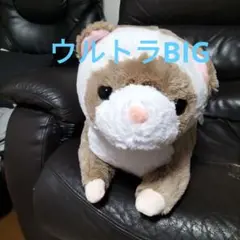 くったりろんぐフェレット ウルトラBIG ぬいぐるみ らてちゃん①
