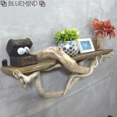 Item thumbnail for item 7d111f9c-2911-445c-b6c3-cc5c36132b7e