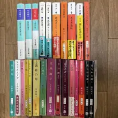 小説まとめ売り　25冊