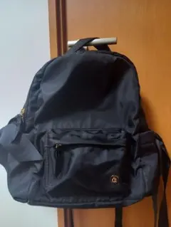 Item thumbnail for item 6a2d618d-353a-41ef-9eb6-9e65b6e28a14