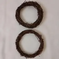 リース2個セット