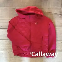 Item thumbnail for item 3fbbc3a2-26c6-4d77-b1d7-b3e1883fe825