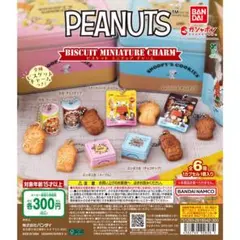 PEANUTS ビスケットミニチュアチャーム セミコンプ