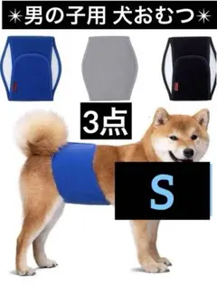 Item thumbnail for item 0774521f-2374-4b1a-b278-8d73b2094466