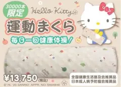 2026年最新】あおたけ枕 キティの人気アイテム - メルカリ