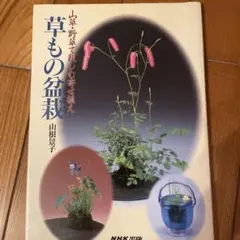 Item thumbnail for item e1c4db60-e2d1-4888-a5e7-e1262ca3da5d