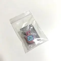たまごっち めじるしアクセサリー3 ふぁみたま