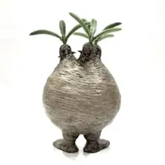 【tomato9900様専用】植物人形セット