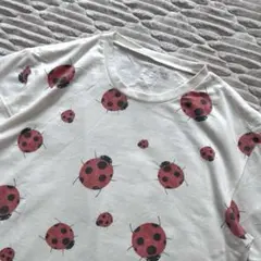新品タグ付き　インセクトコレクション　半袖Tシャツ てんとう虫　XL 男女兼用のサムネイル