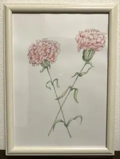 ボタニカルアート カーネーション 絵 直筆 水彩 - メルカリ