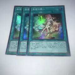 13964 蟲惑の誘い 3枚セット　スーパー