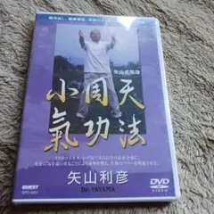 気功DVD＆書籍セット 盛鶴延 奥義集大成 ＋ 矢山利彦 大周天気功法 気功DVD＆書籍セット 盛鶴延 奥義集大成 ＋ 矢山利彦 大周天気功