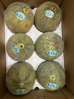 入荷しました！幻のメロン ナイルメロン LAサイズ 6玉 送料込み - メルカリ