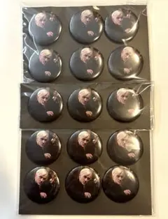 【新品未使用】ハリーポッター flapper ドラコ　缶バッジ15個セット②