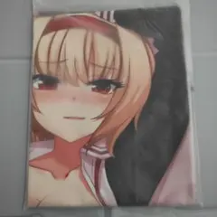 2025年最新】ノラと皇女と野良猫ハート 抱き枕の人気アイテム