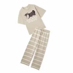 ジェラピケ ルームウェアセット 柴犬 gelato pique上野限定　ベージュ